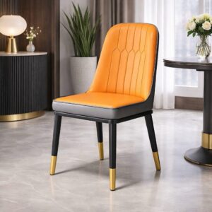 Chaise Design Moderne avec Pieds Dorés